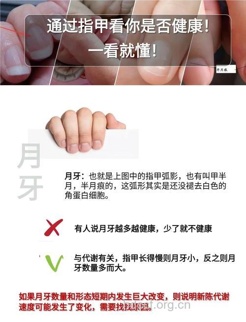怎么从指甲判断宝宝健康