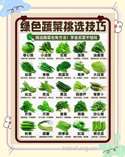 怎么挑选蔬菜才更健康