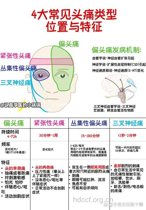 介绍偏头痛的发病原因