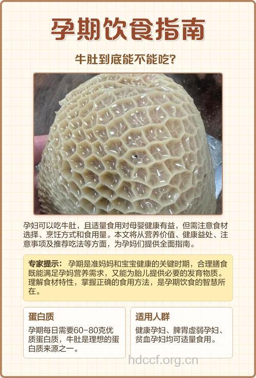 孕妇可不可以吃牛肚