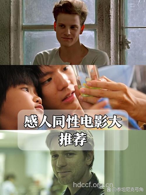 阳光无声照进阴暗的角落：同性恋艾滋感染者