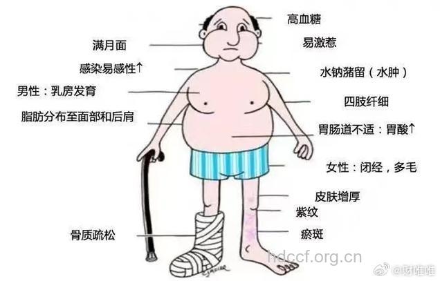 老人太胖易得哪些疾病