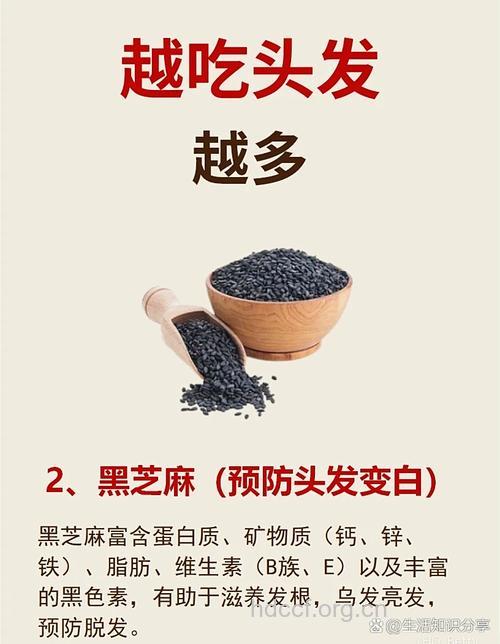 哪些食物有助于防脱生发