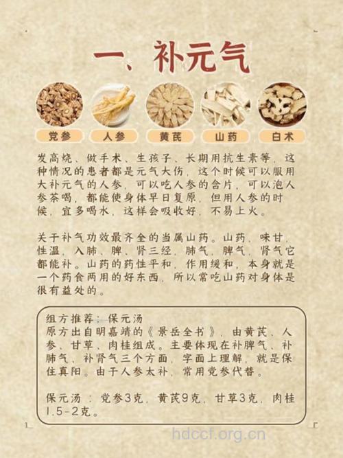 男人有哪些补气血方法