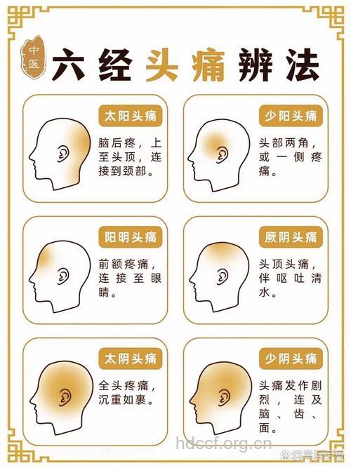 中医观点看头痛