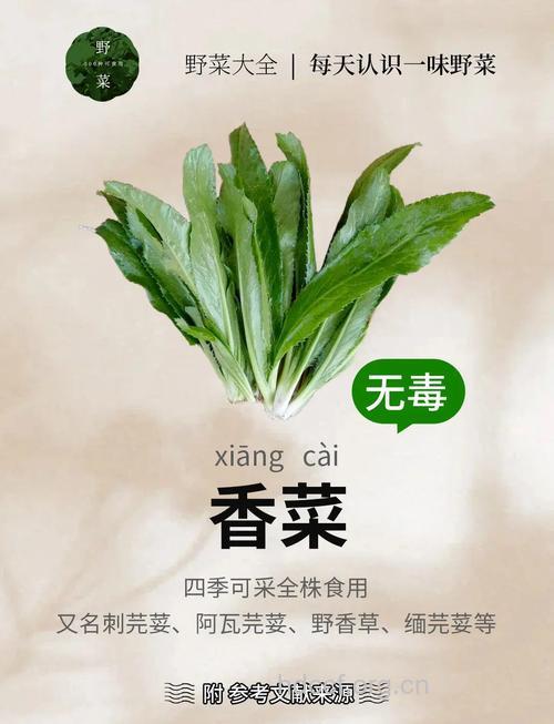 绝不可以放味精的五种菜