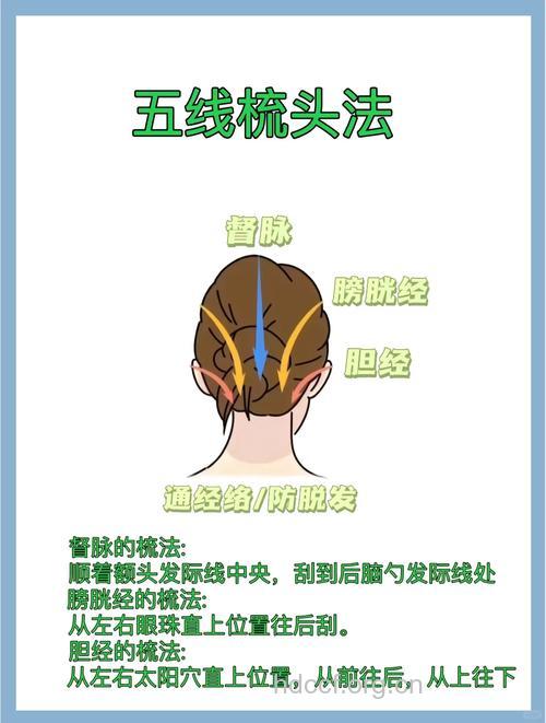 女性怎么梳头养生保健