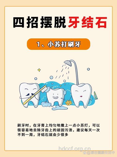 怎么刷牙预防牙结石