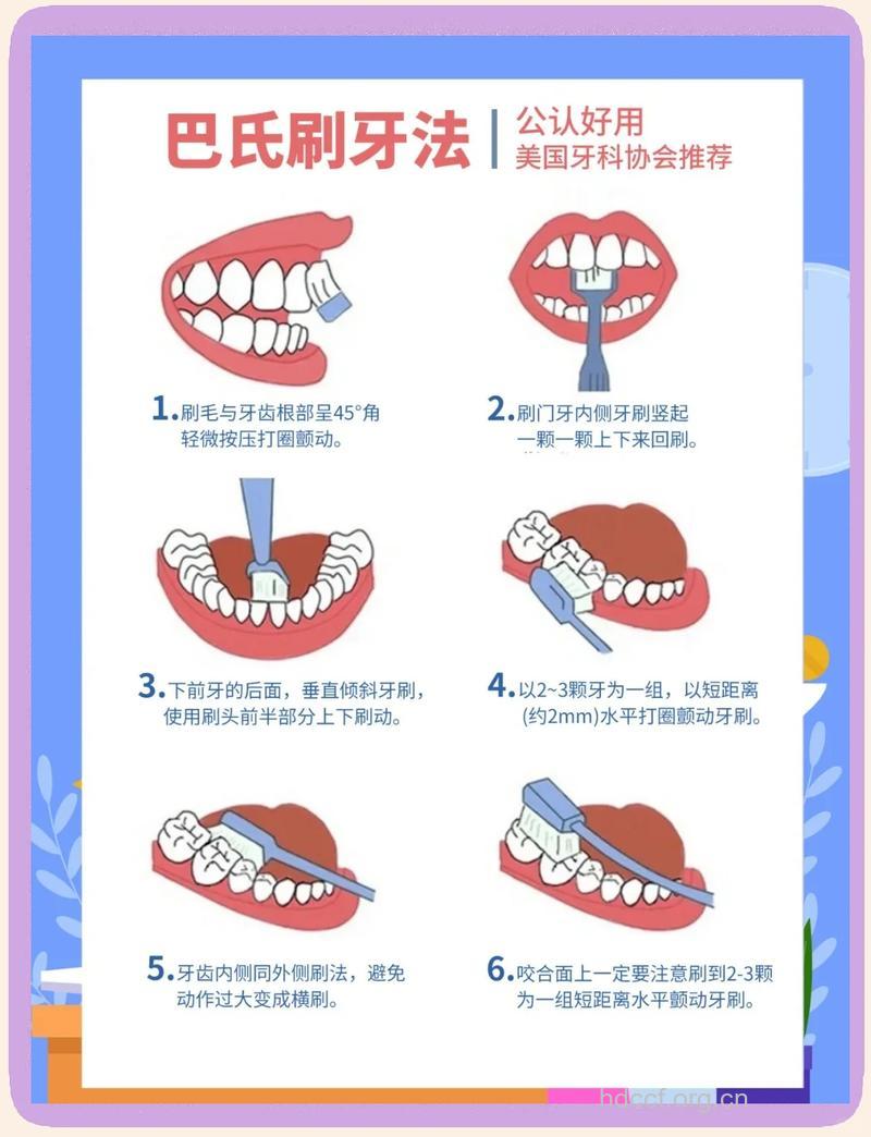 正确的刷牙方法 bass刷牙法