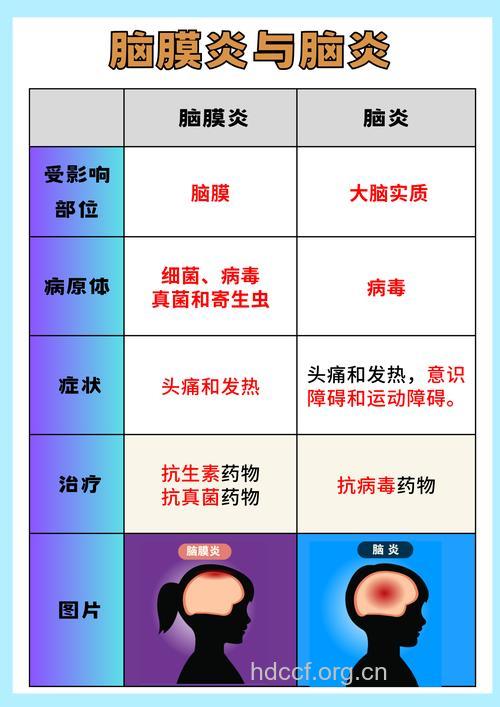 探究小儿脑膜炎的症状与病因