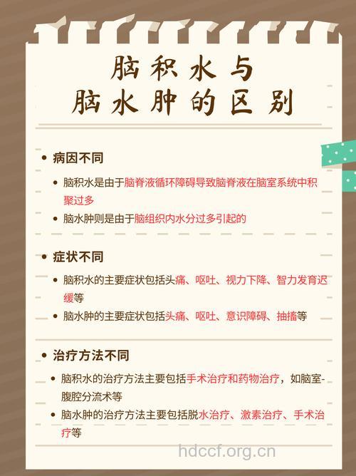 怎么区别诊断脑积水方法