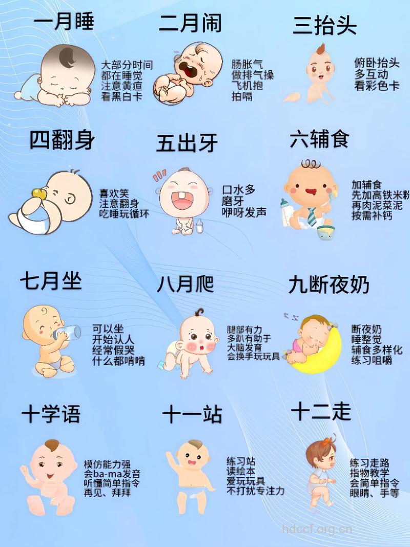 不同季节出生的宝宝有什么不同