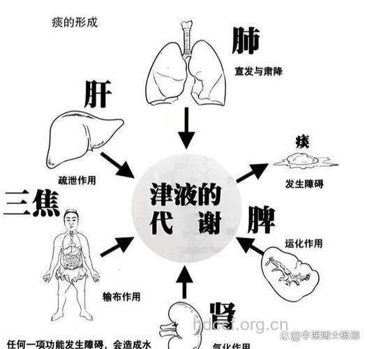 脑梗塞与痰湿有什么关系
