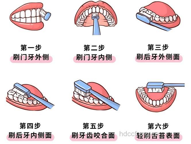 掌握正确的刷牙方法
