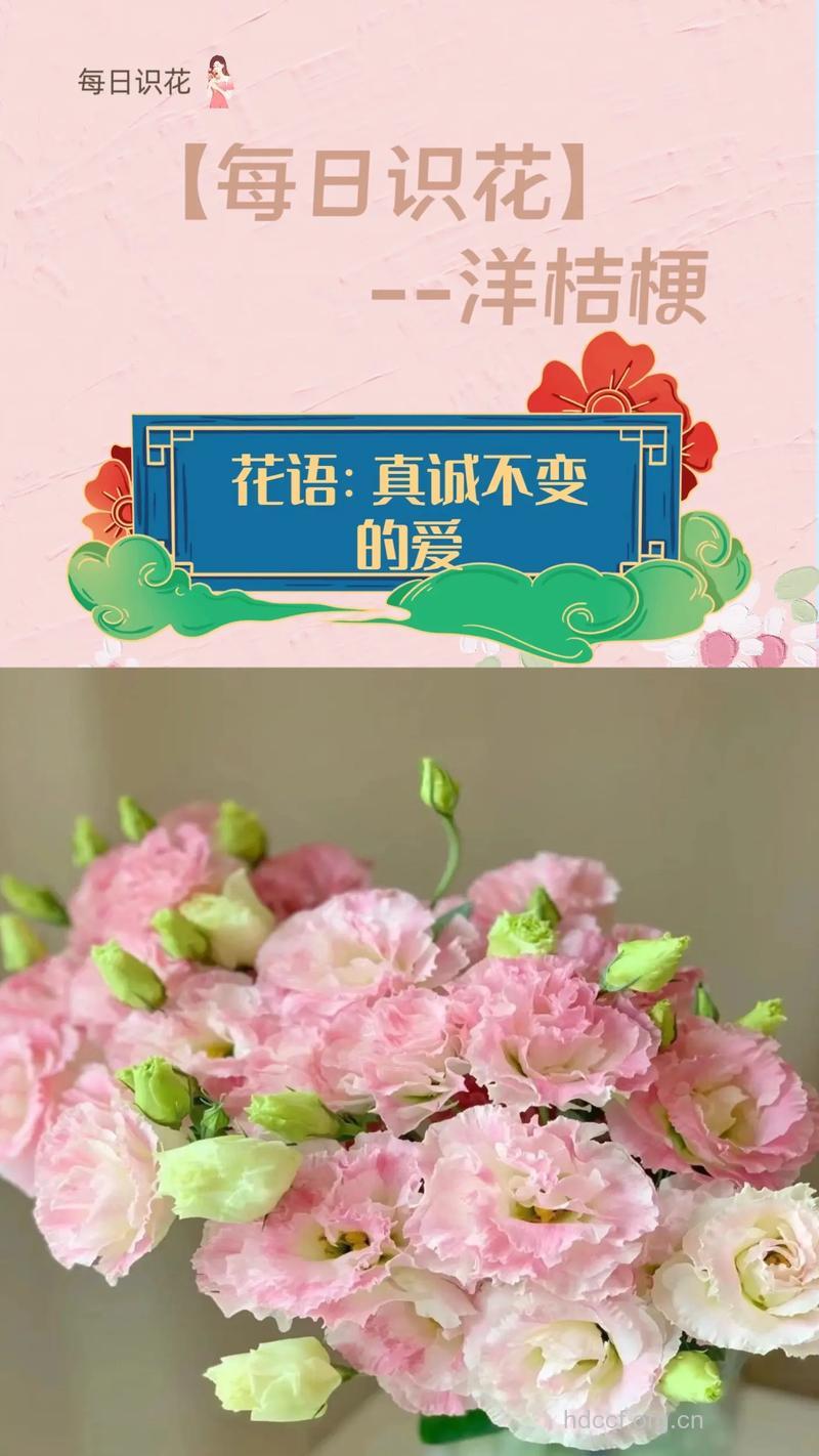 鲜花当道 美容正当好时节