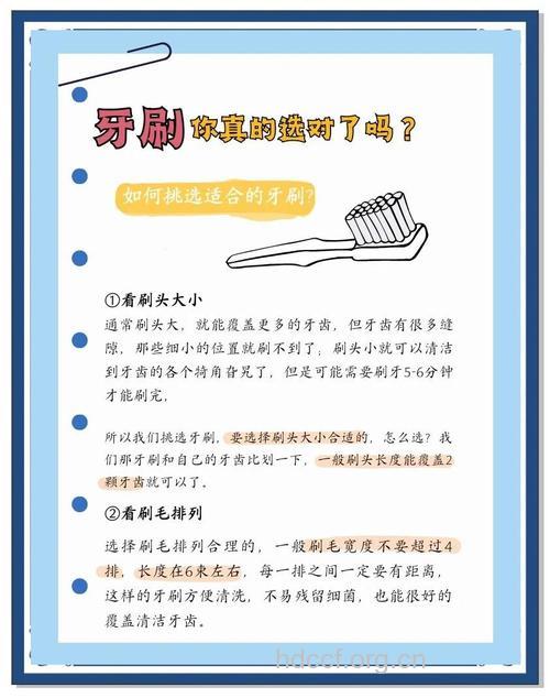 6个小建议帮助您选择牙刷