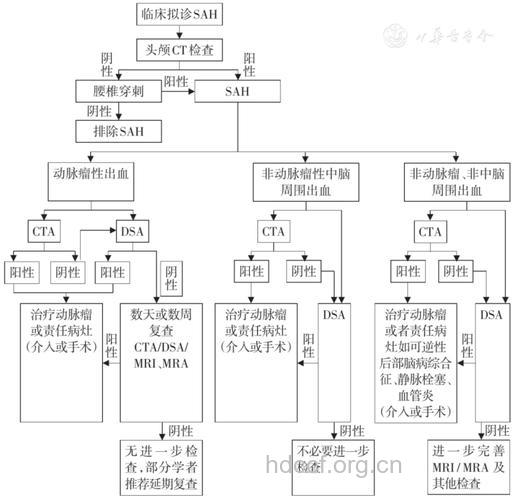 蛛网膜下腔出血病因及发病机制
