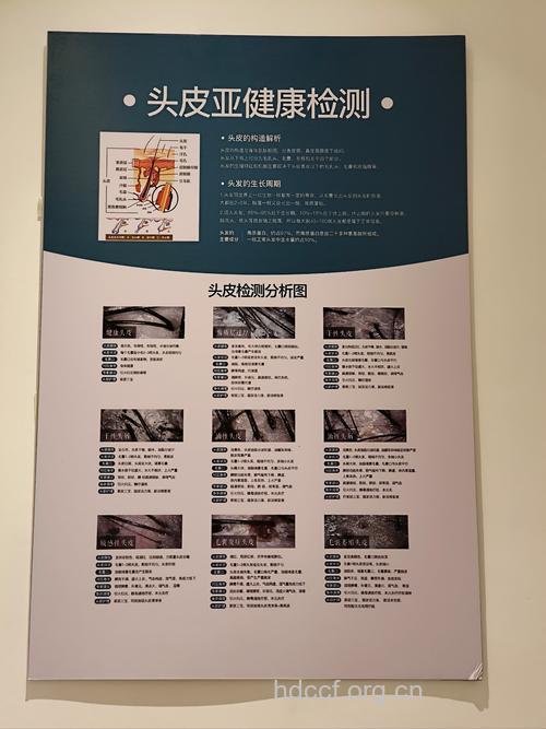 三个小方法来测试头发健康