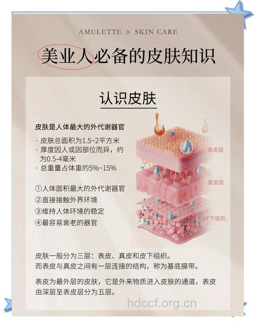 美容界专家告诉你护肤真相