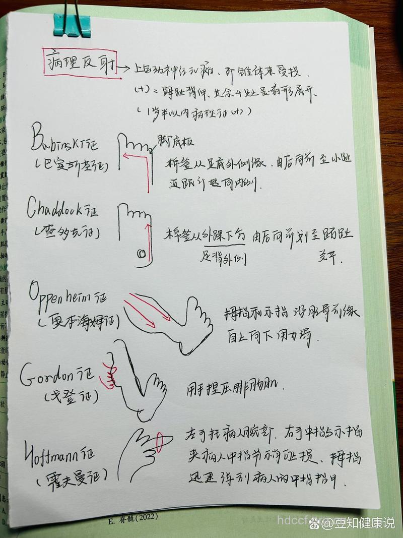 病理反射有哪些？