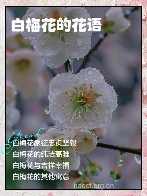 春花烂漫我们是“美白控”