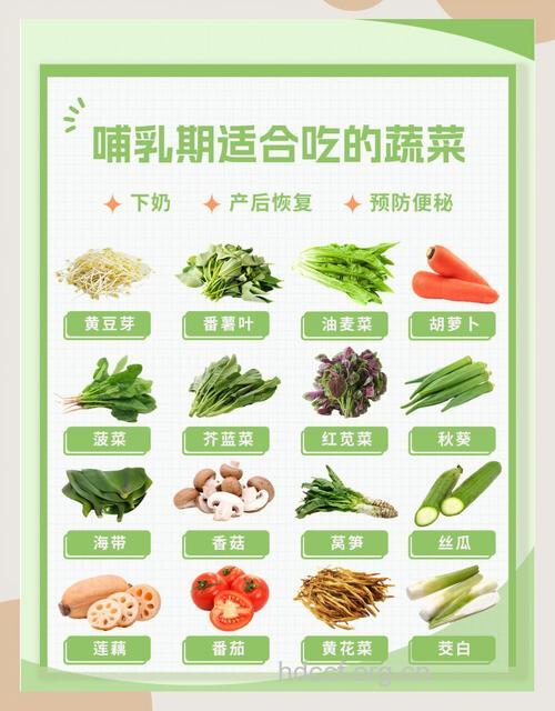 哪些蔬菜有助于催奶