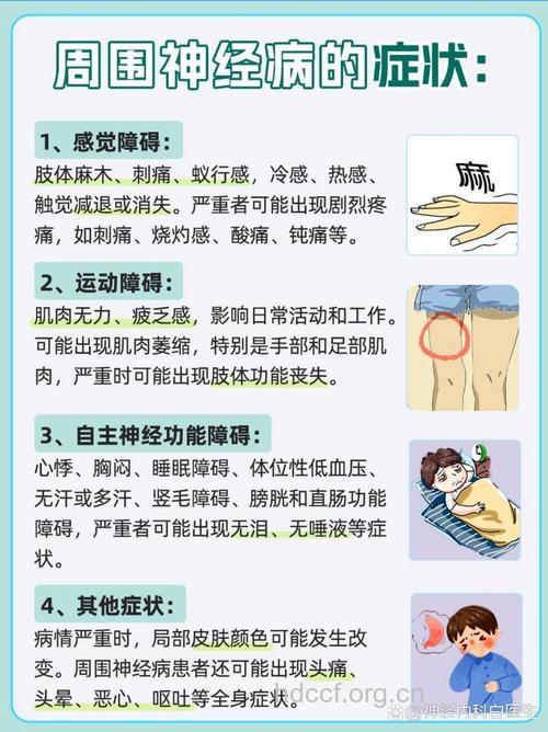 周围神经性痛的几种类型