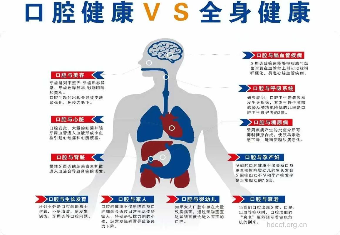 口腔健康对人体有什么影响