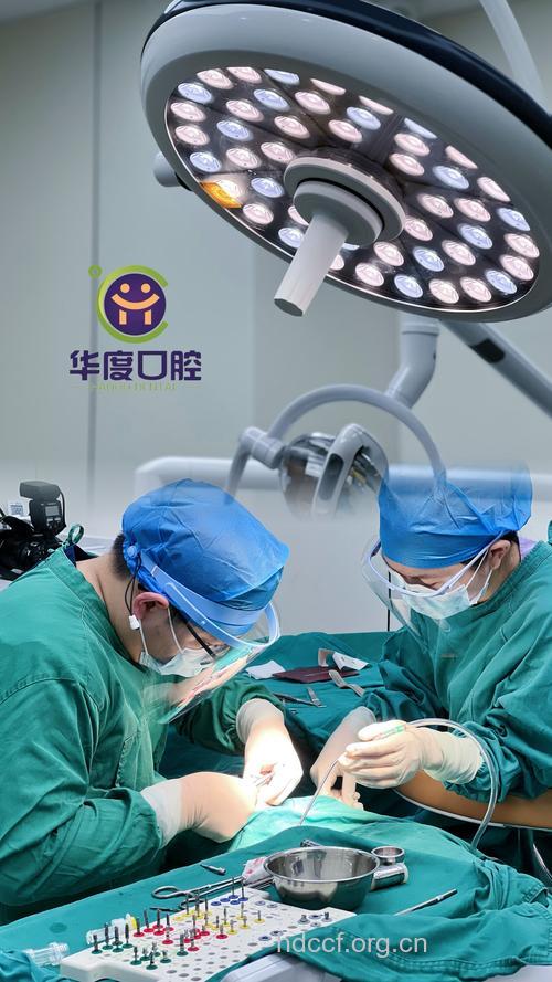 专家:牙齿可再植