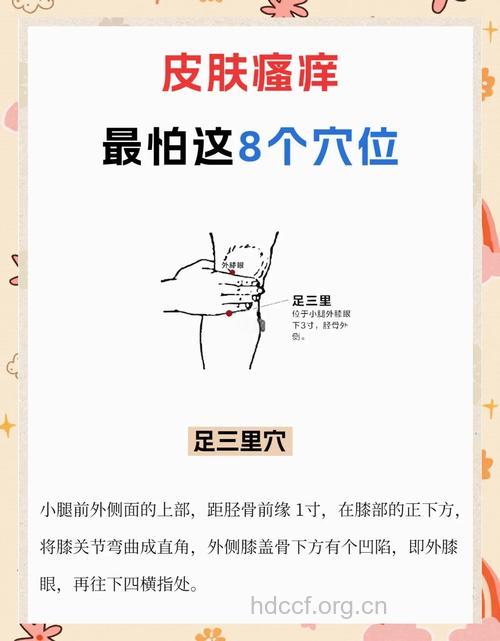 常按这3个地方可缓解湿疹瘙痒