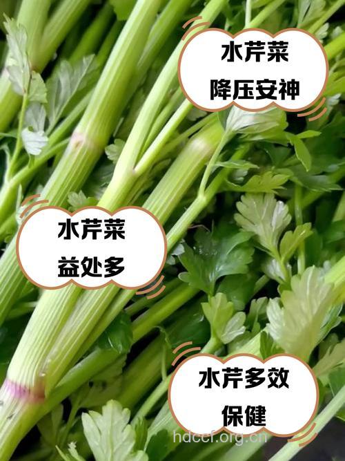 春季湿疹多吃芹菜好