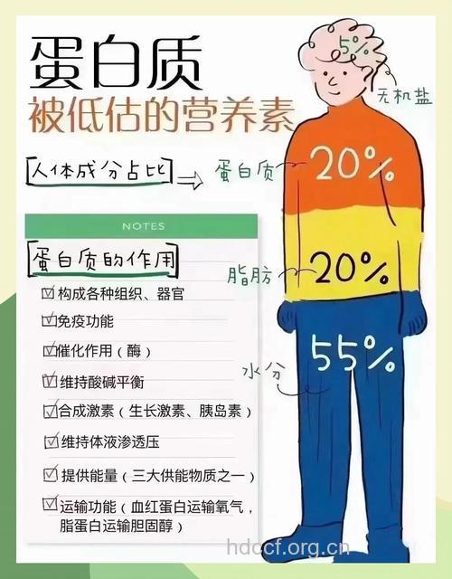 你知道怎么打造蛋白质男人