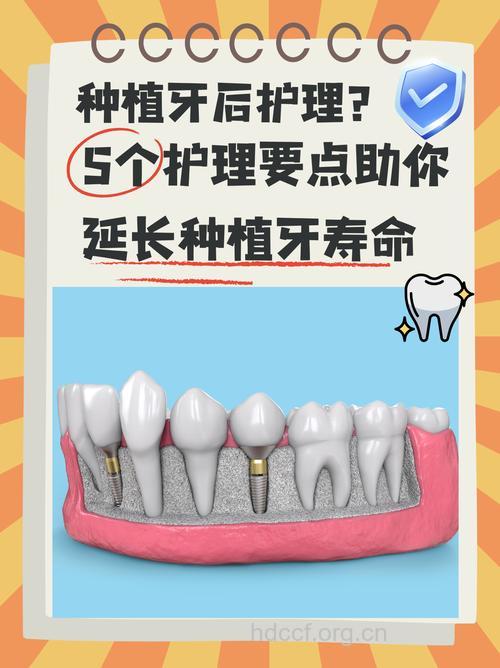 种植牙的维护与寿命