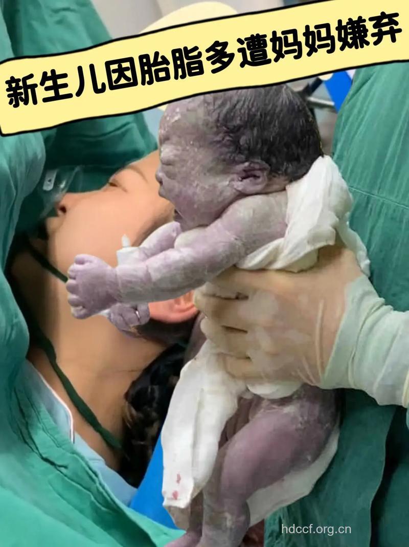 哪些脂类有助于胎儿发育