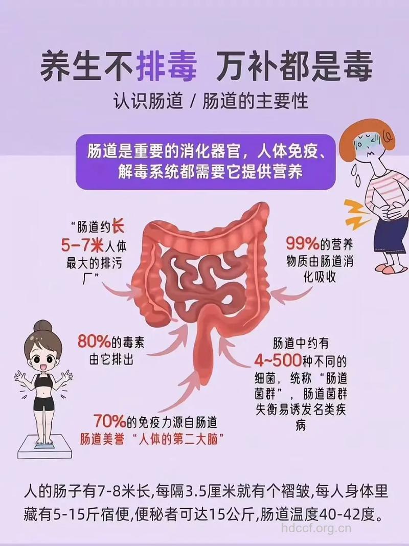 每天坚持散步 患肠癌风险减三成
