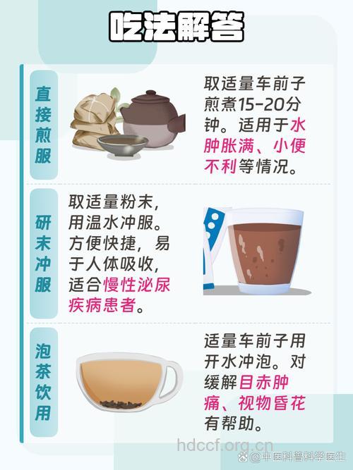 孕妇可不可以吃车前子