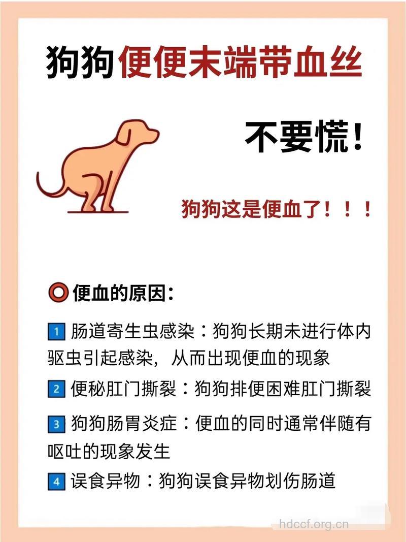 大便出血如何治疗呢