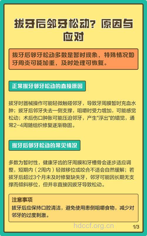 拔牙后邻牙松动了怎么办?