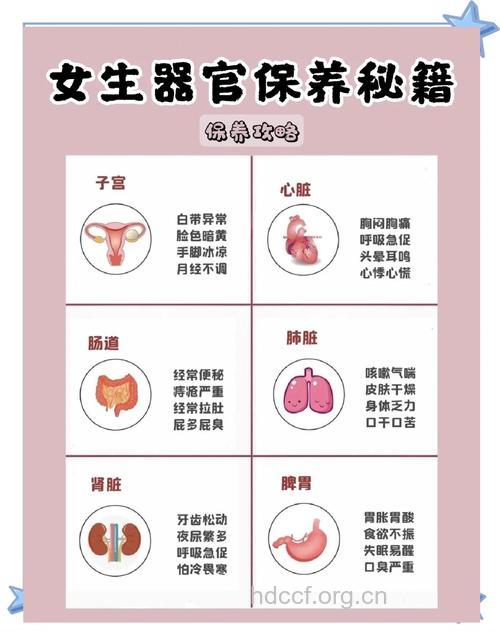哪些部位决定女性健康