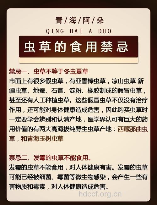 孕妇可不可以吃冬虫夏草