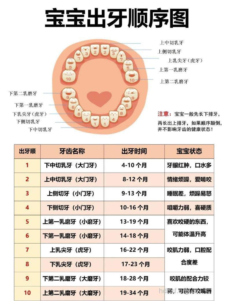宝宝的牙健康与孕妇有关吗