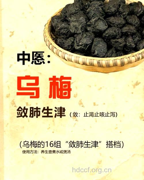 孕妇吃什么|孕妇能吃乌梅吗