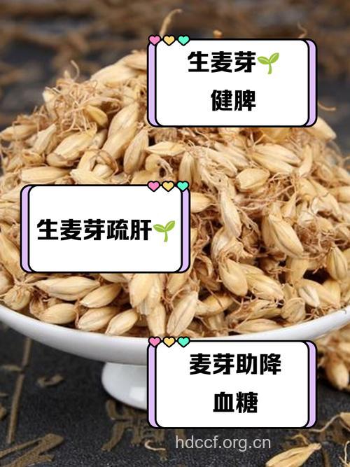 孕妇吃什么|孕妇能吃麦芽油吗
