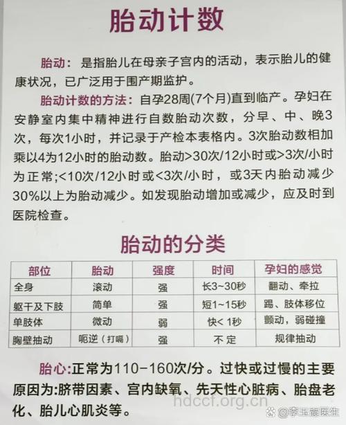 孕妈咪何时能感觉到胎动？
