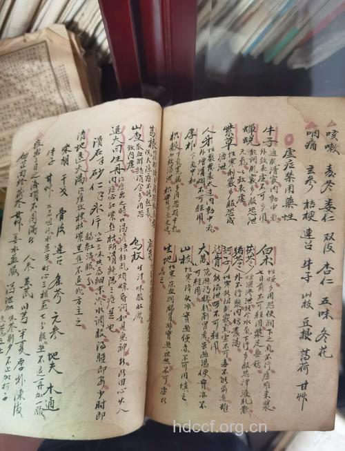 老中医刘云鹏的看病秘方