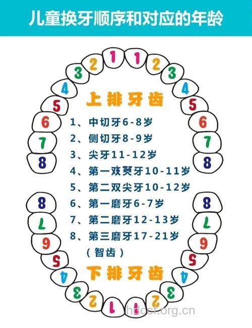 儿童换牙的五个注意事项