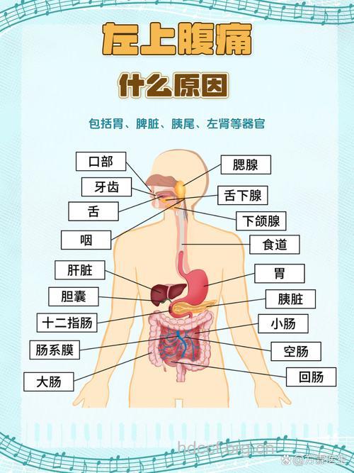 男人左边肚子痛是什么疾病征兆