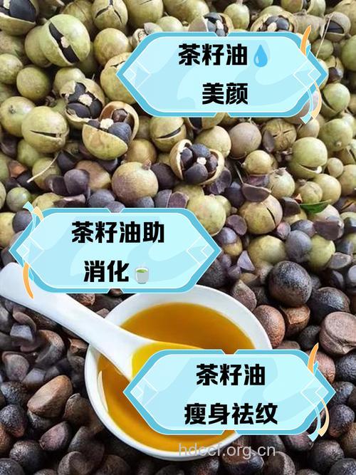 多吃茶油可防糖尿病吗