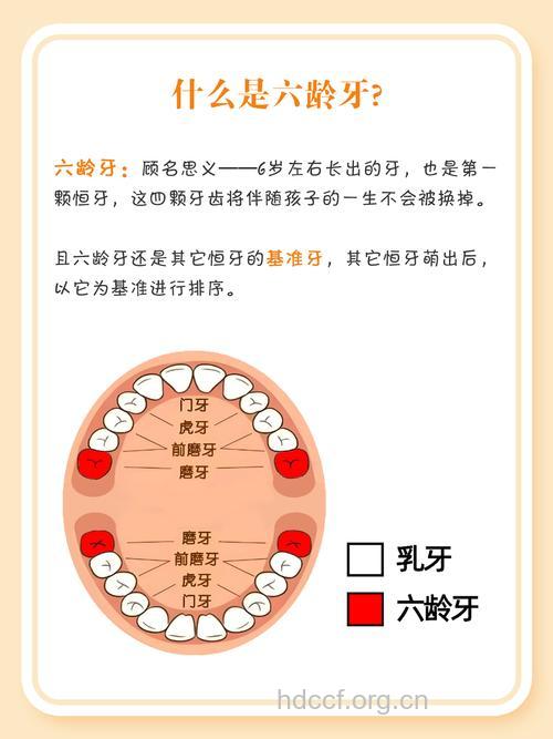 宝宝乳牙的三大作用