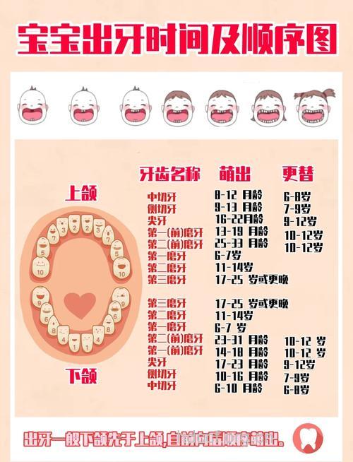 宝宝出牙期的七点建议
